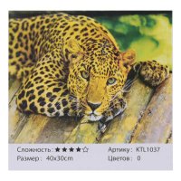 Картина_по_номерам_KTL_1037_(30)_40х30см_в_коробке.jpg