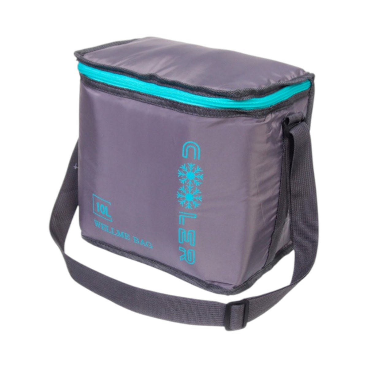 Термосумка Cooler 10 л 25 х 16 х 23 см (MH-5367-S)