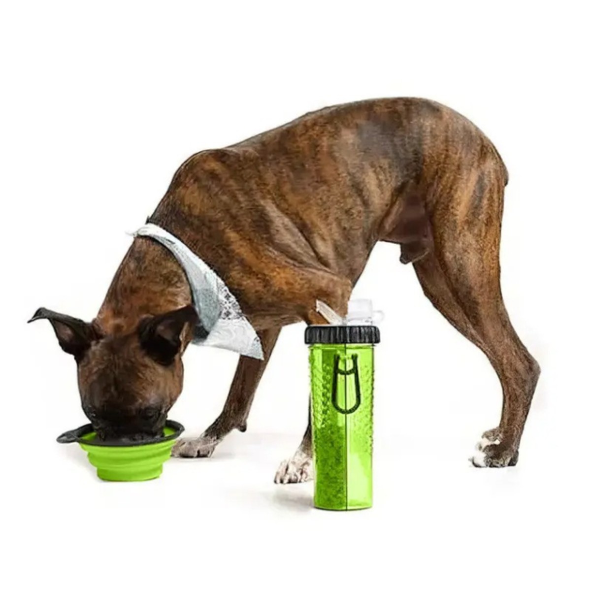 Бутылка двойная для воды и корма для животных Snack-Duo