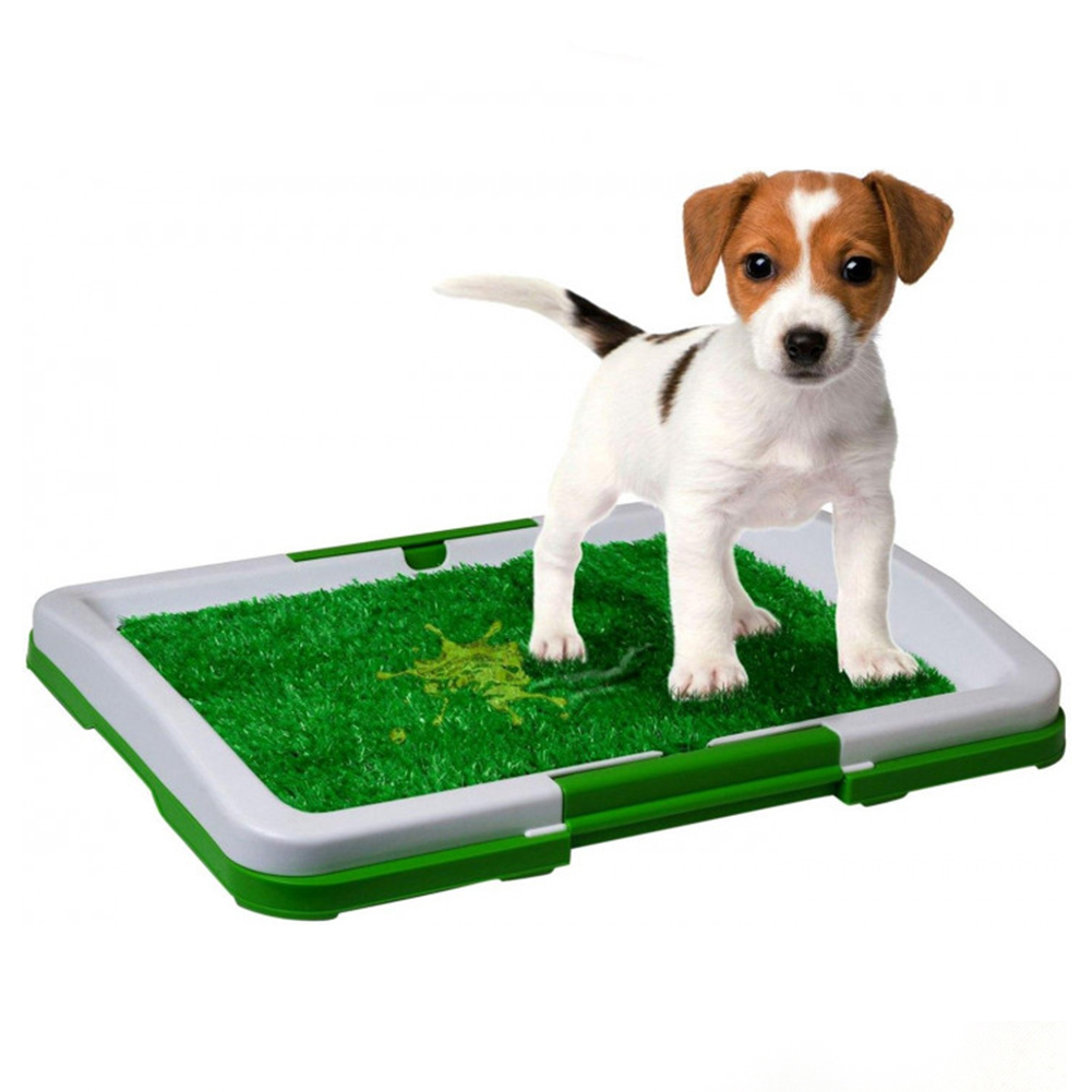 Туалет для Собак Perfect Pets Puppy Potty Pad