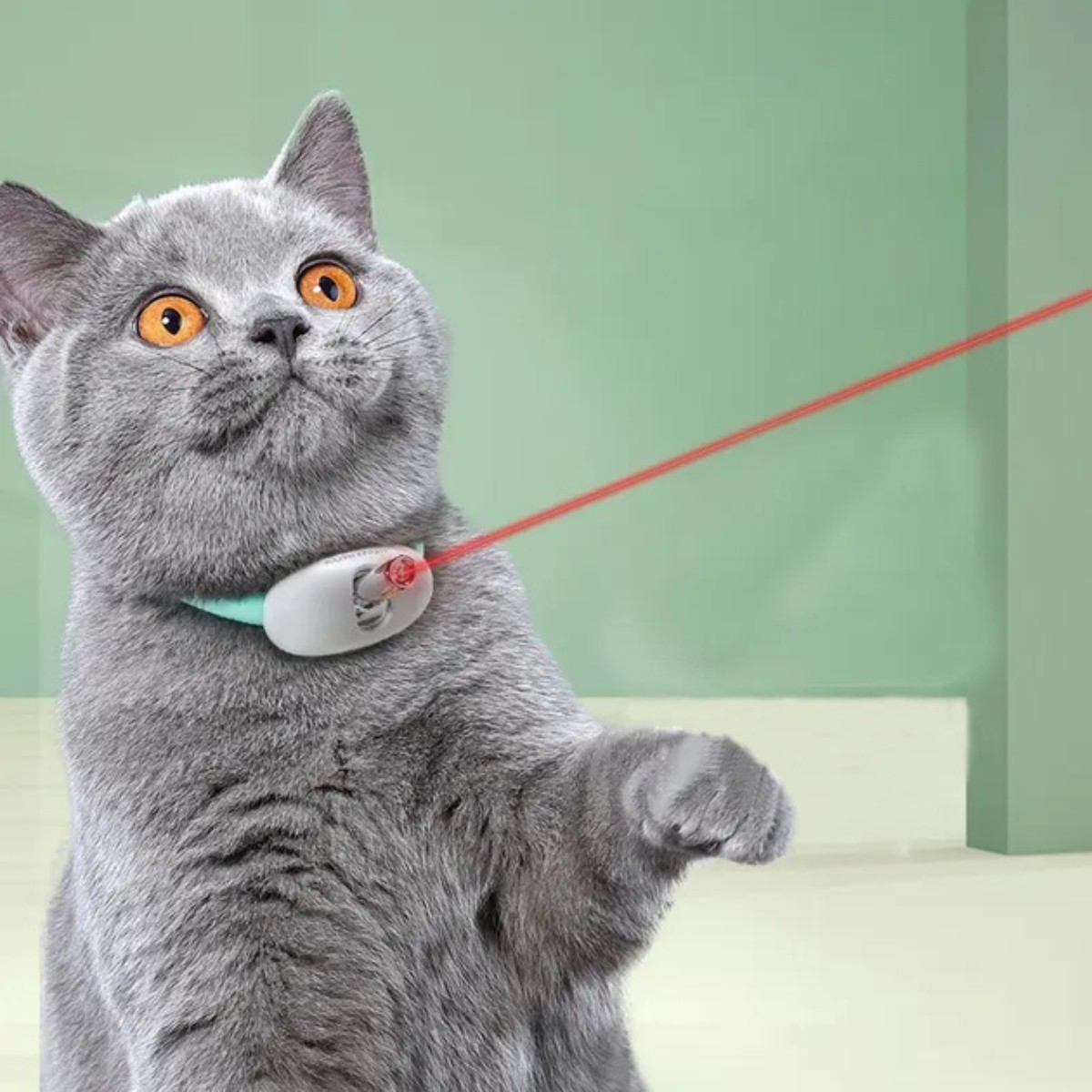 Ошейник лазерный для котов PetGravity