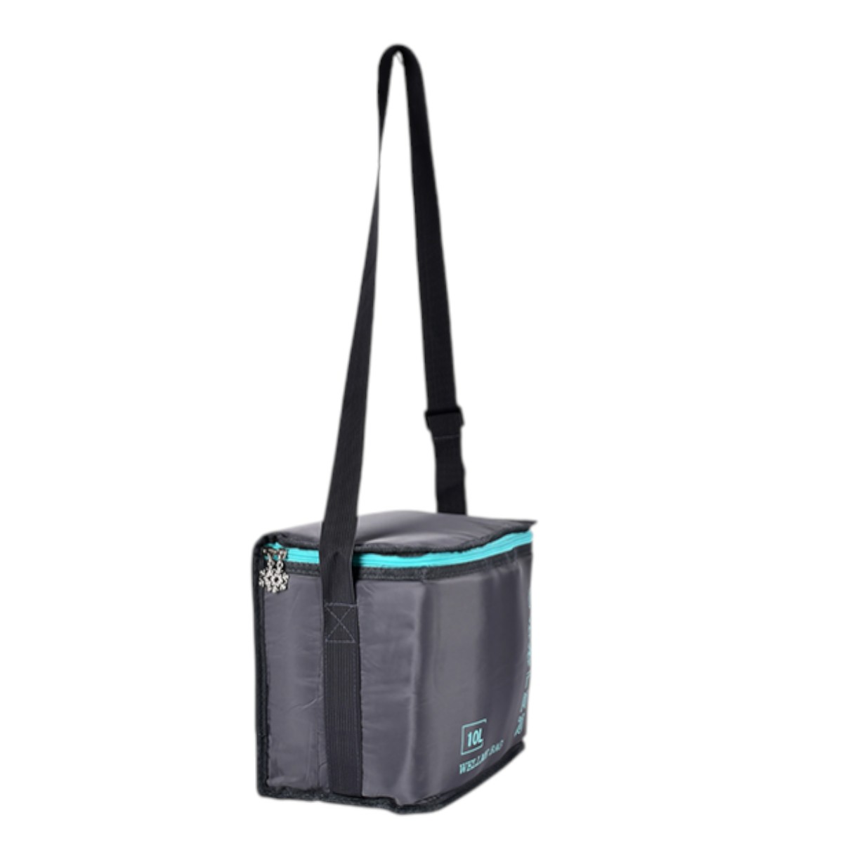 Термосумка Cooler 10 л 25 х 16 х 23 см (MH-5367-S)