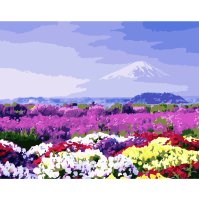 Картина_по_номерам_Поле_разноцветных_цветов_40х50_см.jpg