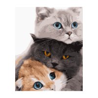 Картина_по_номерам_Три_котика_40х50_см_Strateg_(VA-2834).jpg