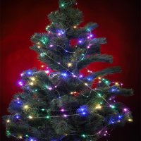 Xmas гирлянда 200 led MULTI 10 WIRE LINE * 2 METER 220V (7248)