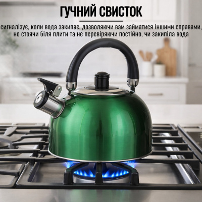 Чайник A-PLUS со свистком 2.5 л (1329) (Зелёный)
