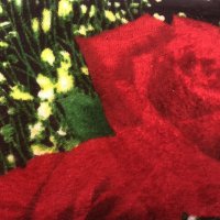 Плед двуспальный микрофибра ЛИША 180 х 200 (34468) Красные розы на черном