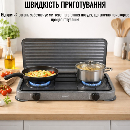 Газова плита A-PLUS 2 конфорки (2106) Gray