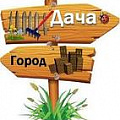 ДАЧА, САД, ГОРОД