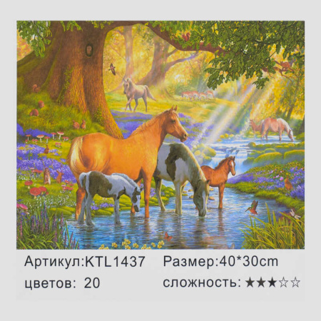 Картина_по_номерам_KTL_1437_(30)_в_коробке_40х30.jpg