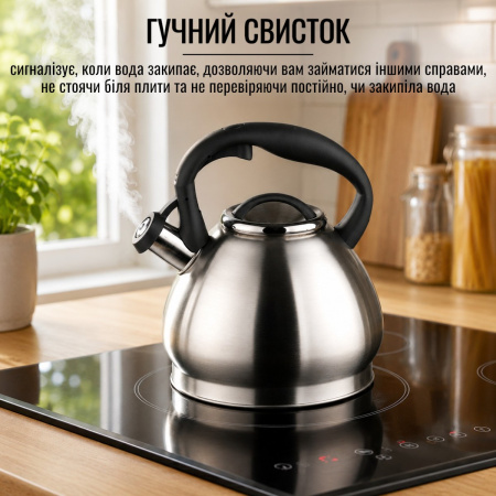 Чайник A-PLUS Econom со свистком 3.0 л (1374-WK)